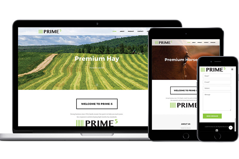 Web Design Project
